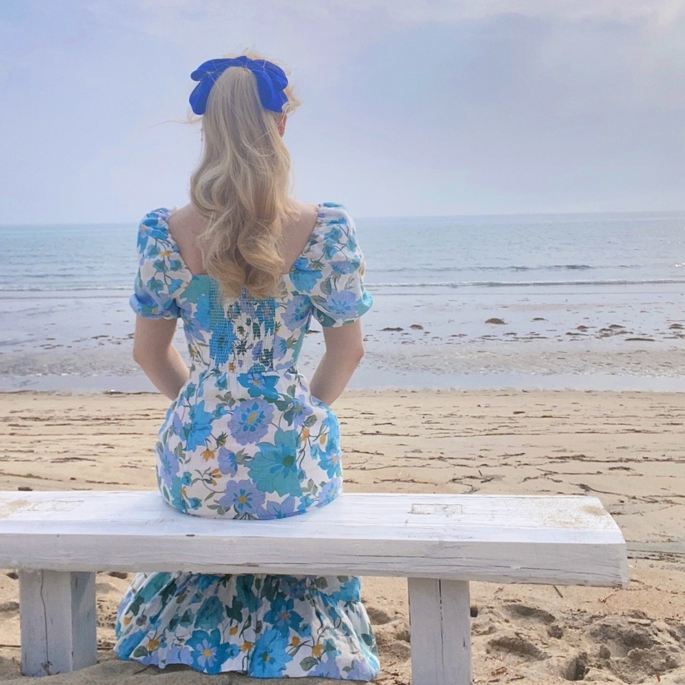 Summer Linen Floral Blue and White Dress & other stories